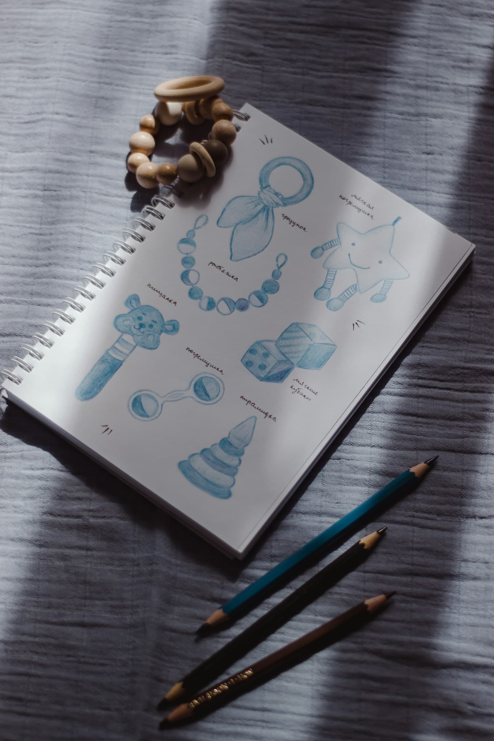 Publish in Japan Bootcamp course visual